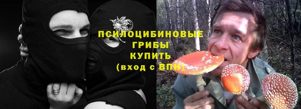 дурь Алзамай