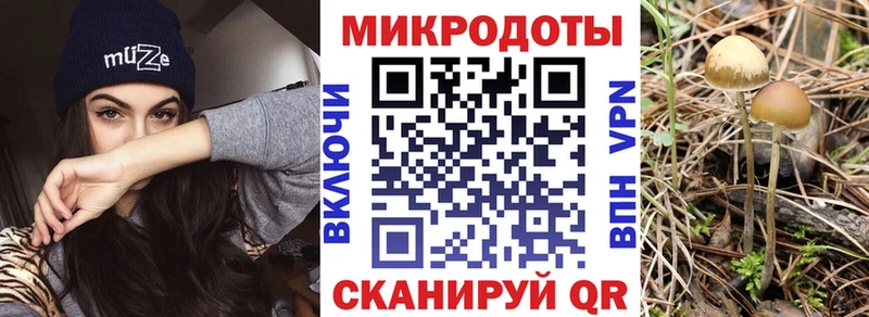 Галлюциногенные грибы ЛСД  купить наркотик  Алексеевка 